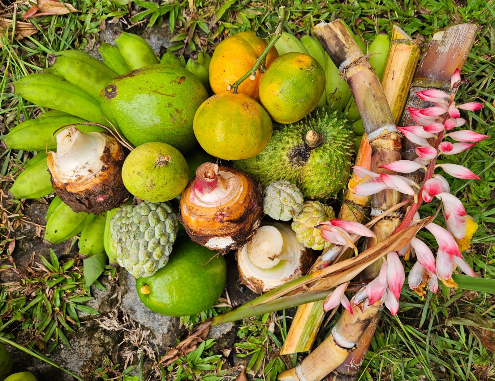 Agriculteur Agropeyi