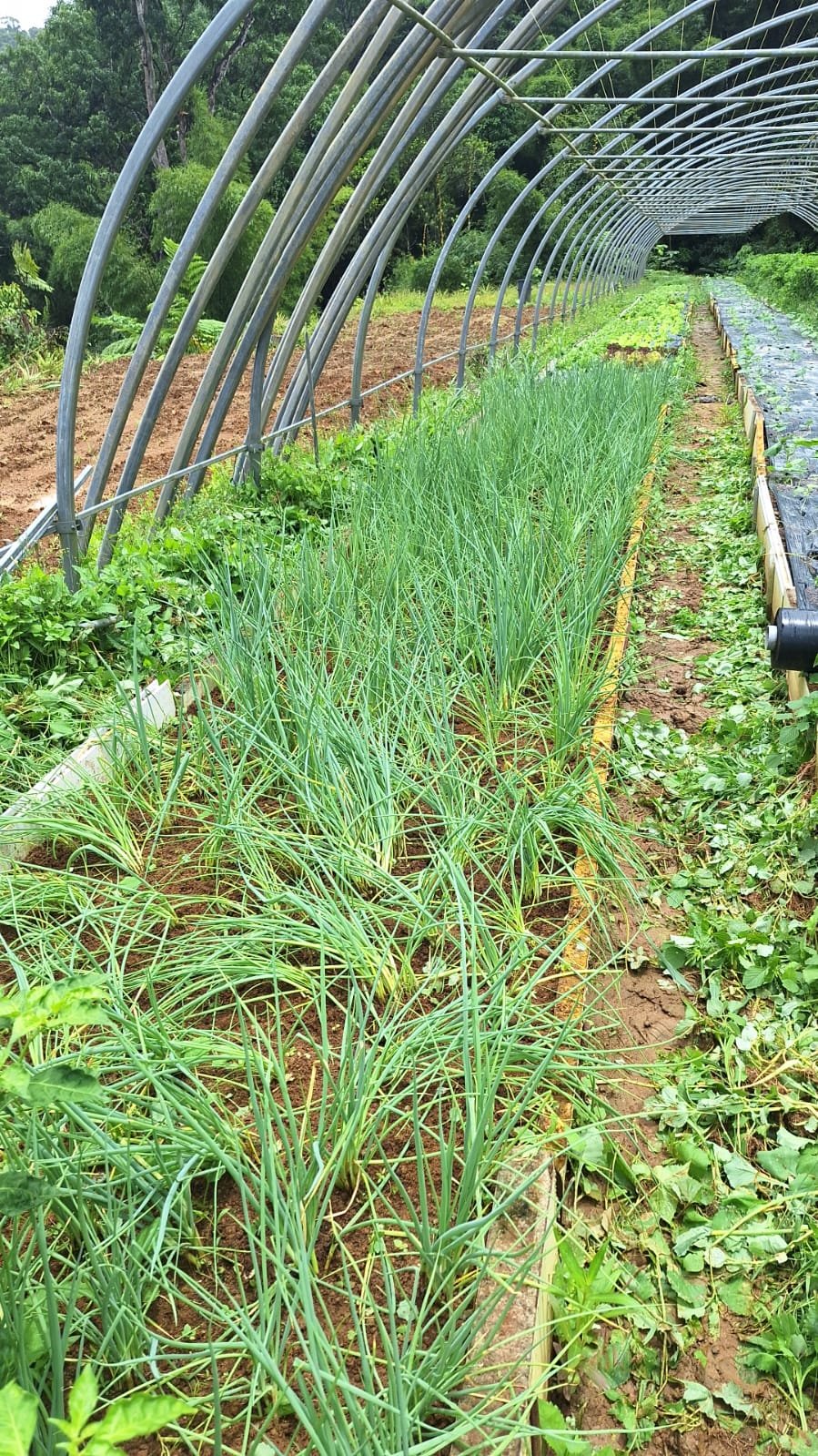 Agriculteur Agropeyi 2