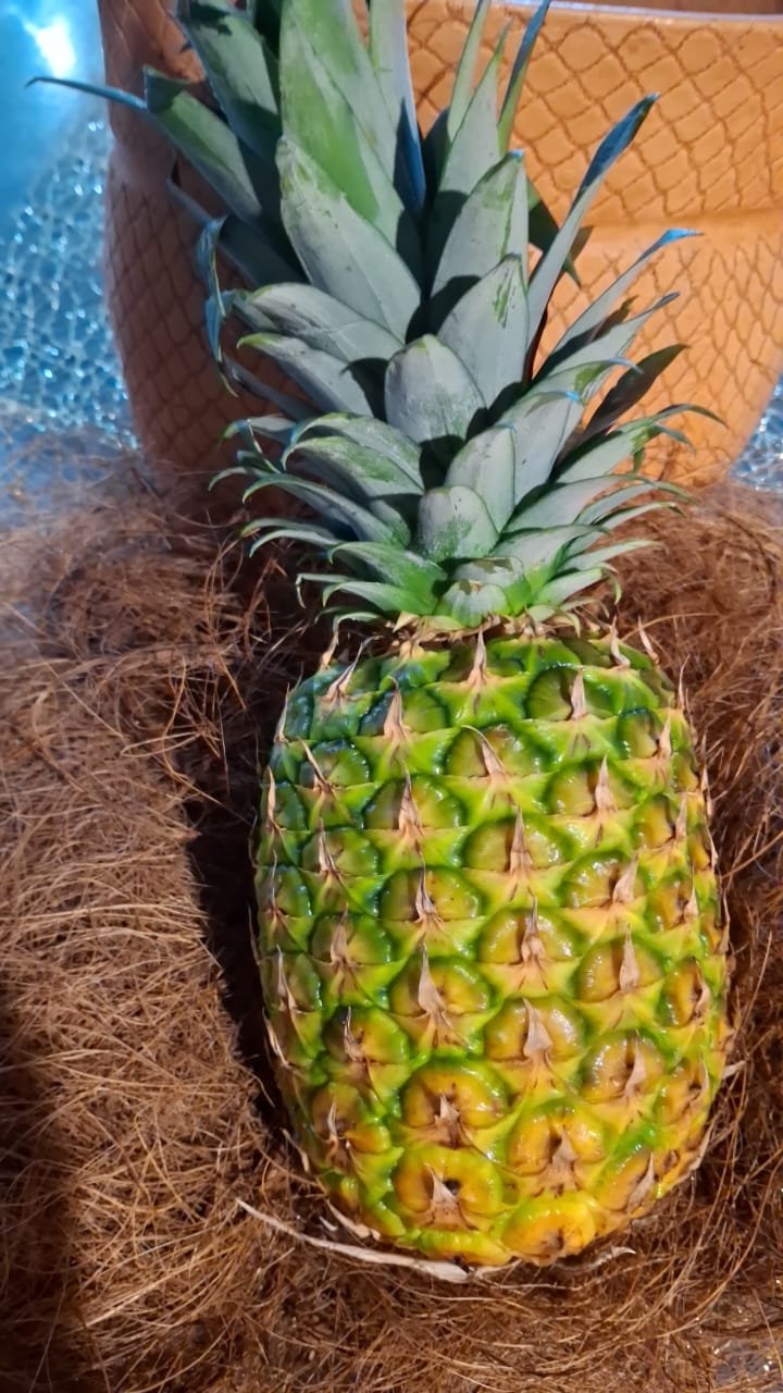 Ananas