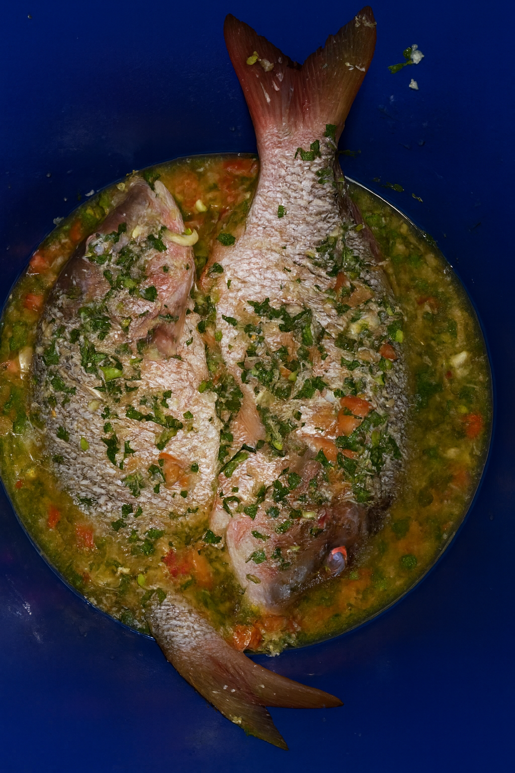 Mélange d’Assaisonnement pour Poisson sous vide